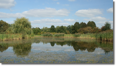 Wczesna jesie w Arboretum