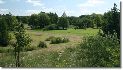 Wzgórza w Arboretum