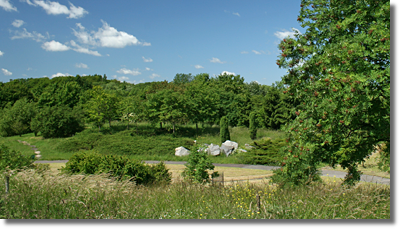 Wzgórza w Arboretum