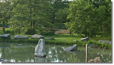 Widok od Arboretum